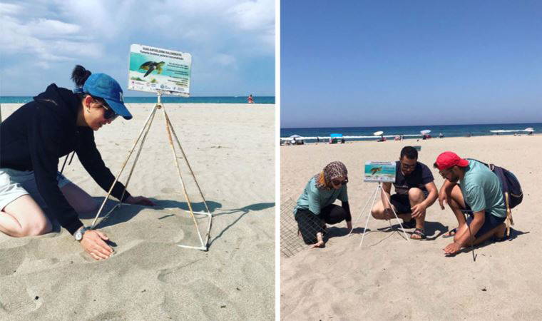 Caretta caretta yasağı: 3 sahile gece girmenin cezası 109 bin TL (25 Mayıs 2022)