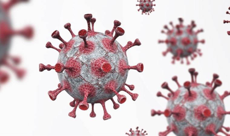 Veteriner hekimlerden 'maymun çiçeği' açıklaması