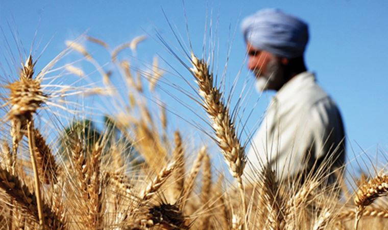 Moody's: Hindistan'da sıcak hava dalgası buğday üretimini, enflasyonu ve büyümeyi vurabilir