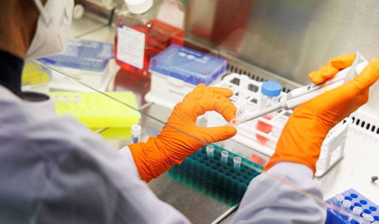 TTB'den Sağlık Bakanlığı'na 'maymun çiçeği' çağrısı: 'Eylem planınızı belirleyin'