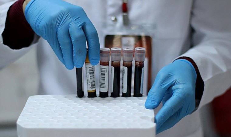 Sedimantasyon nedir? Sedimantasyon neden yükselir?