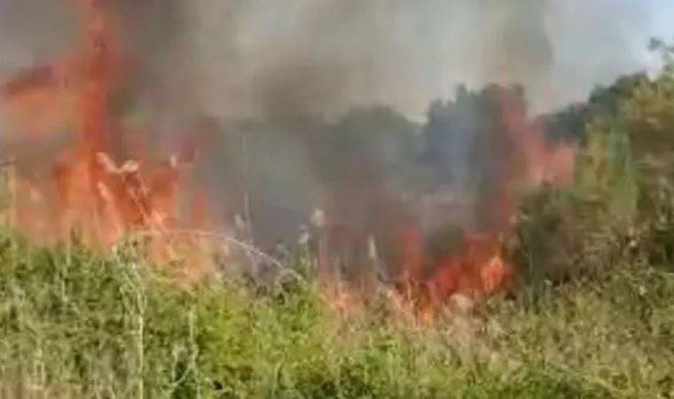 Temizlik işçisinin ihbarda bulunduğu meyve bahçesindeki yangın söndürüldü