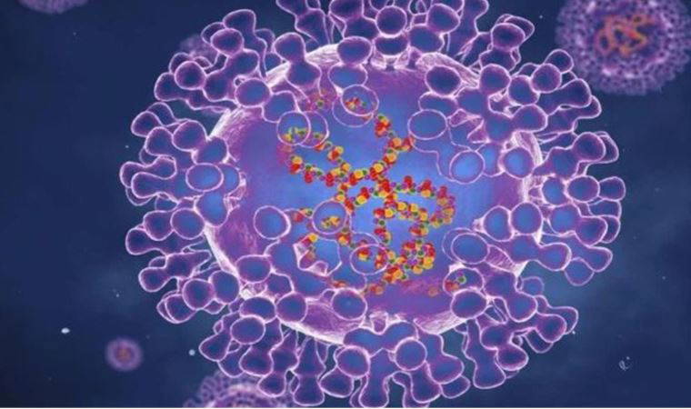 TVHB başkanından 'maymun çiçeği virüsü' açıklaması