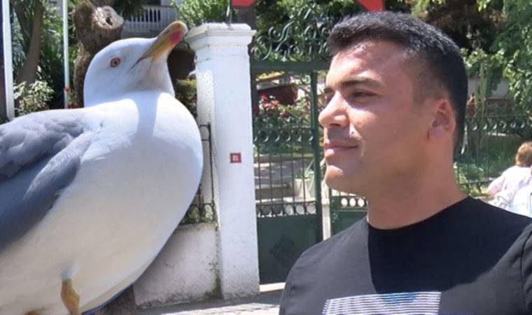 Kavgada ısırılarak koparılan kulağını martı kaptı (26 Mayıs 2022) (Video Haber)