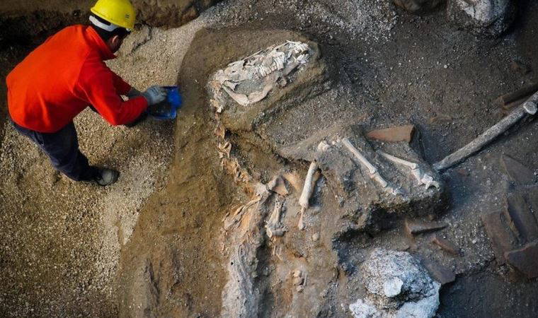 Pompeii’de ilk kez yanardağ kurbanına genom dizilimi yapıldı: 'Anadolu kökenli olabilir'