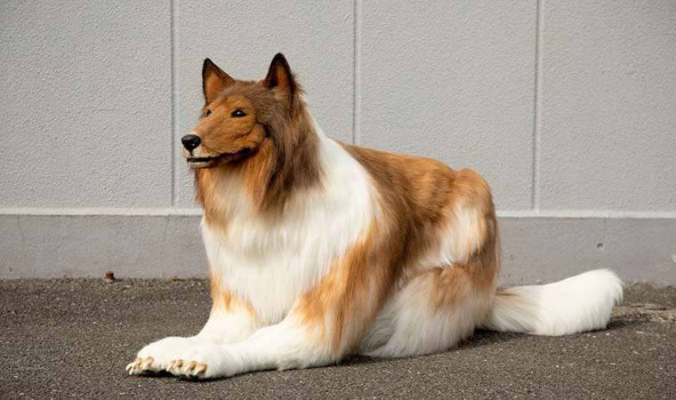 'Hayalim gerçek oldu'