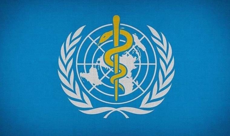 DSÖ: Gizemli hepatit vakaları 650'ye, can kayıpları 9'a yükseldi