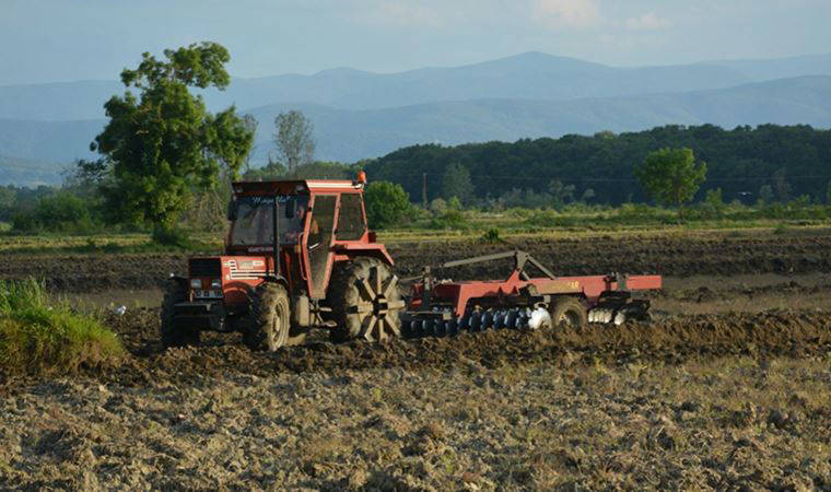 Sinoplu çeltik üreticisi: 'Kilosu 10 lira civarında olursa, ancak kurtarır' (28 Mayıs 2022)