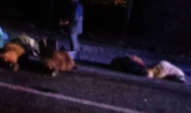 Otomobil koyun sürüsüne çarptı: 14 koyun öldü (03 Mayıs 2022) (Video Haber)