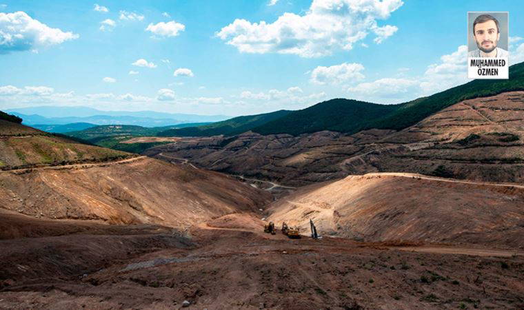 Kanadalı şirket ağaçları kesti