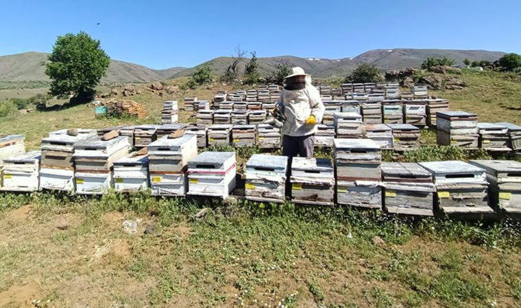 Maliyetlerin yükselmesiyle arıcılıkta üreticiler kovan azaltıyor