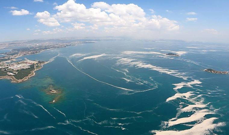 Marmara Denizi'nde müsilaj tespit edildi: 'Tedbir almamız lazım'