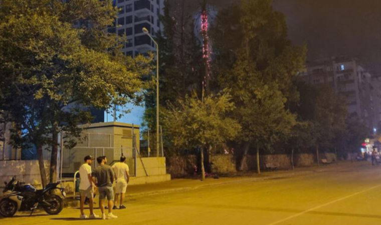 Adana'da bulvar üzerindeki ağaçların yanışını film gibi izlediler