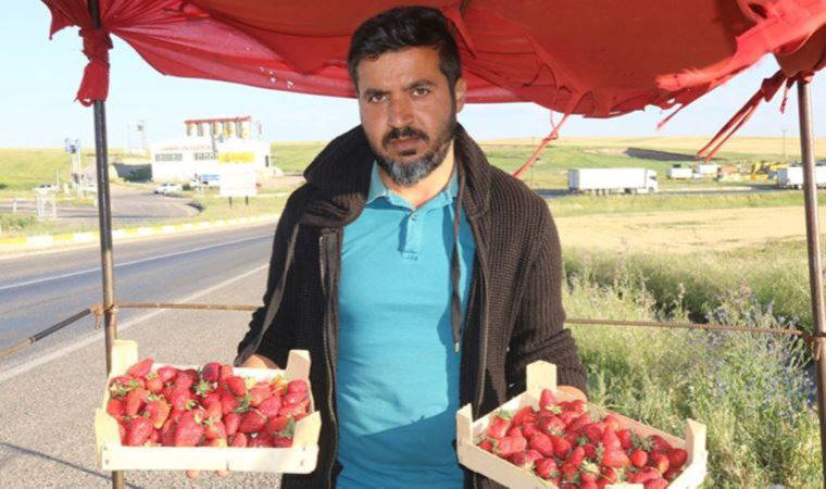 Geçinemeyen market çalışanı 'çilek' işine girdi: Yıllık kazancı 800 bin TL (31 Mayıs 2022) (Video Haber)