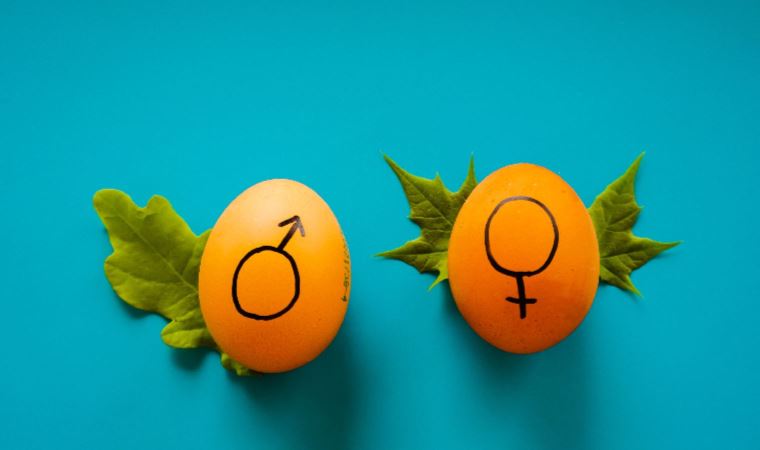 Nemfomani nedir? Nemfomani belirtileri nedir? Nemfomani tedavisi var mı?