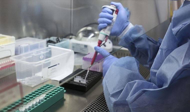 DSÖ duyurdu: 17 çocuğun karaciğeri iflas etti