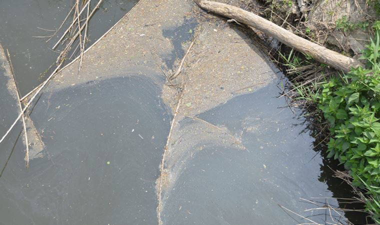 Gönen ve Susurluk çayları, Marmara'ya zehir taşıyor!