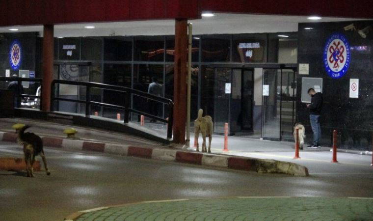 Yanında bebeği olan anne, tartıştığı kadın tarafından bıçaklandı