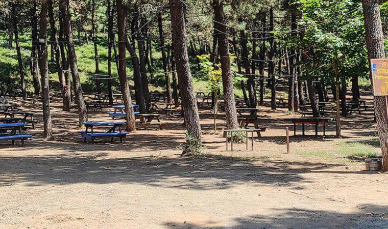 İzmir'de 26 ormanlık alana girişler yasaklanıyor