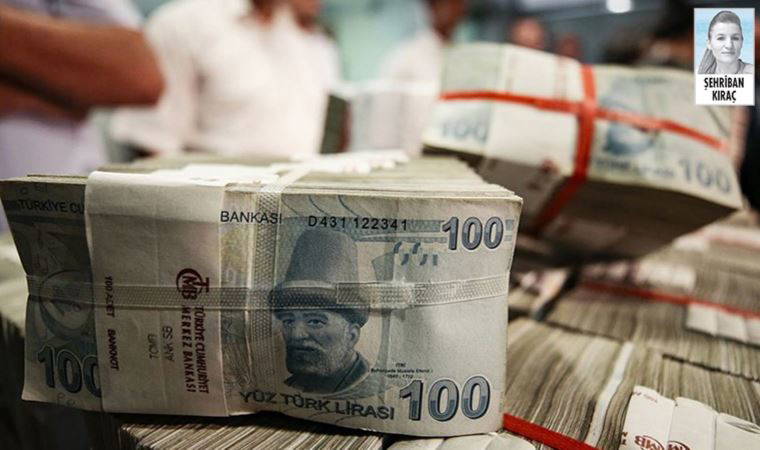 Kur korumalı mevduat ve Merkez Bankası'nın düşük faizi bankaları ihya etti