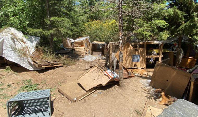 Hayvan barınakları yıkıldı, hayvanseverler tepki gösterdi