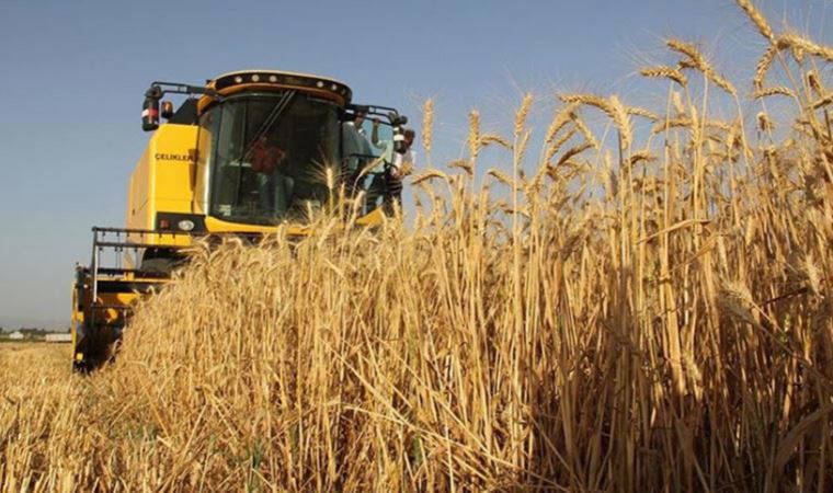 İktidar, hasat başlamasına karşın buğday fiyatını açıklayamıyor