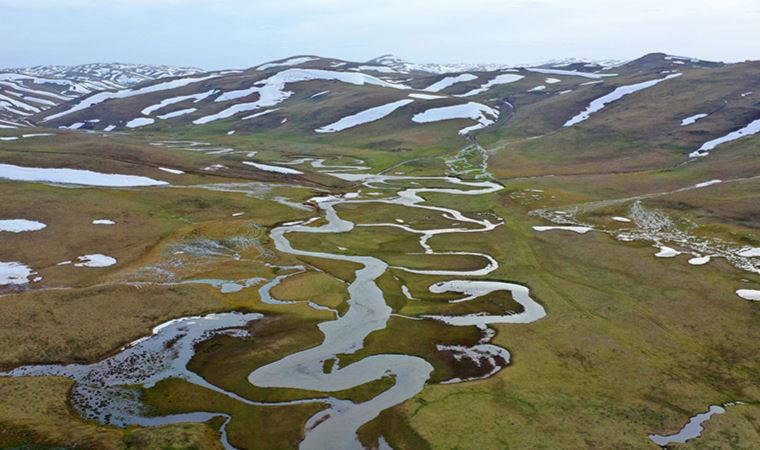 CHP'li Adıgüzel'den Perşembe Yaylası’nda siyanürle altın arama izni verilmesine tepki