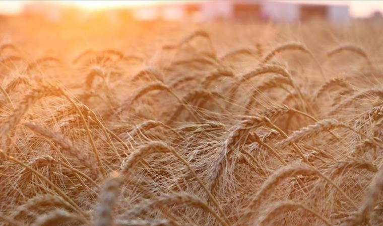 Türkiye koridor görevi üstlenecek mi?