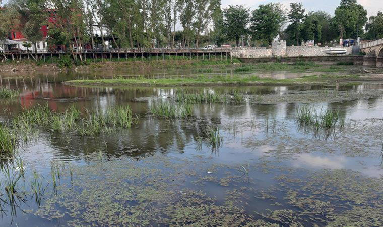 Edirne'nin can suyu Tunca Nehri bataklığa döndü (02 Haziran 2022)