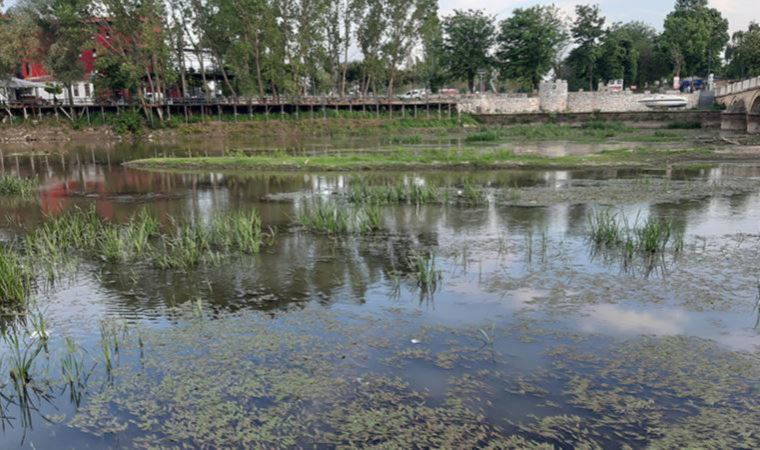 Edirne'nin can suyu Tunca Nehri bataklığa döndü (02 Haziran 2022) (Video Haber)