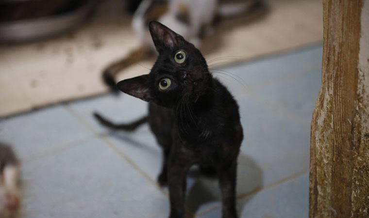 Belediyeden açıklama geldi