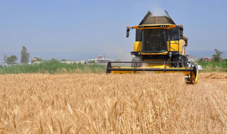 Ekmek 6 TL sınırında