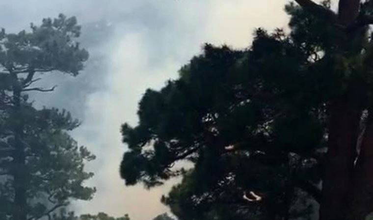 Antalya'daki orman yangını, 6 saatte kontrol altına alındı (05 Haziran 2022) (Video Haber)