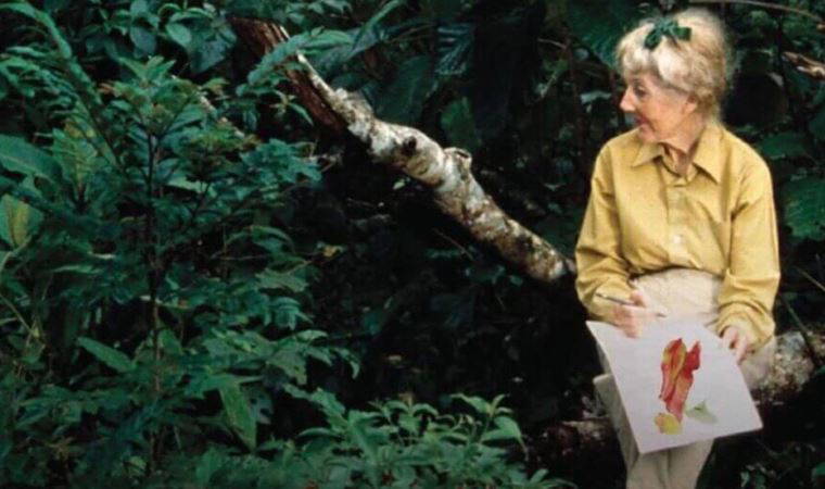 Amazonlar’ın yalnız koruyucusu