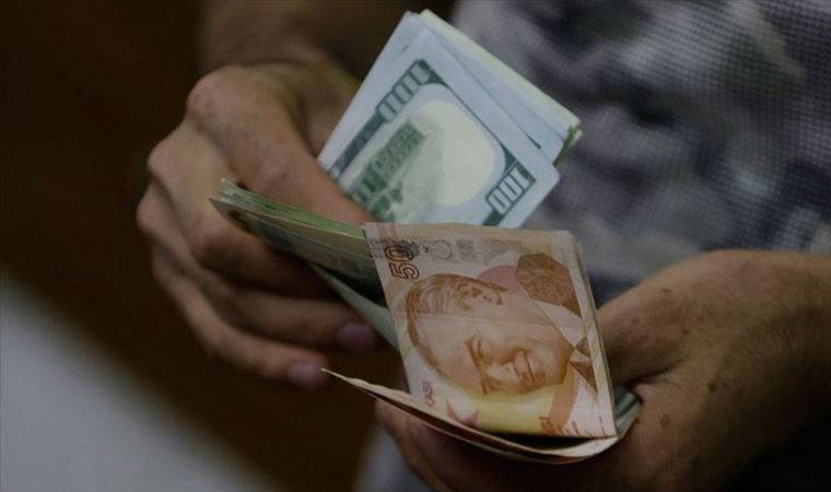 Reel efektif döviz kuru endeksi mayısta geriledi
