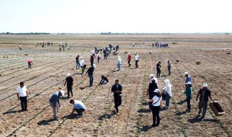 Ereğli'de organik tarımda ilk adım atıldı