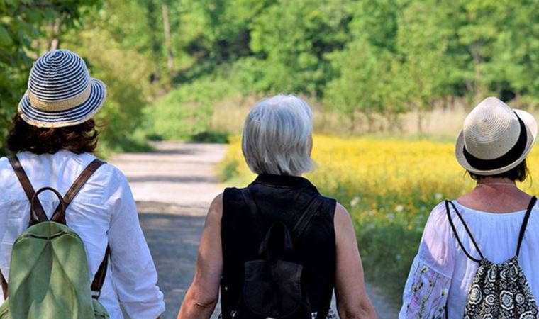 Prof. Dr. Oktay açıkladı