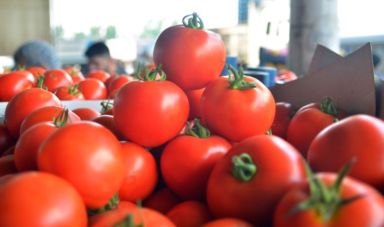 Sitem ettiler: 'Halde 4 lira olan domates markette neden 14 lira?'