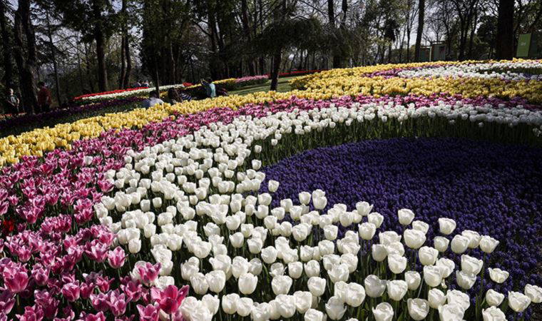 Tartışmalı harcamalara bir yeni daha eklendi