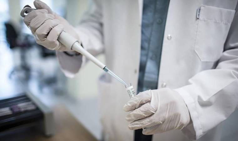 DSÖ, dünyada bulunan maymun çiçeği vakası sayısını açıkladı