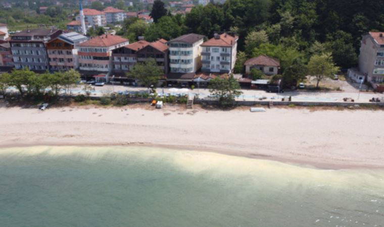 Bartın'daki deniz kirliliğinin polen kaynaklı olduğu belirlendi