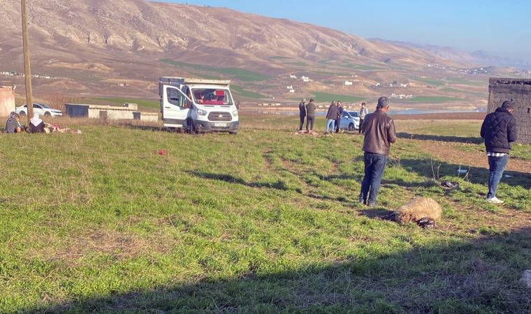 Merada otlatılan 50 küçükbaş öldü, inceleme başlatıldı