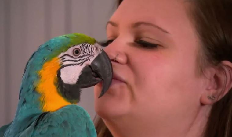 Sesiyle kovaladı...