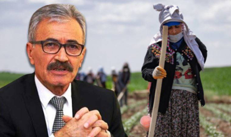 Gıdada ucuzluk hayal