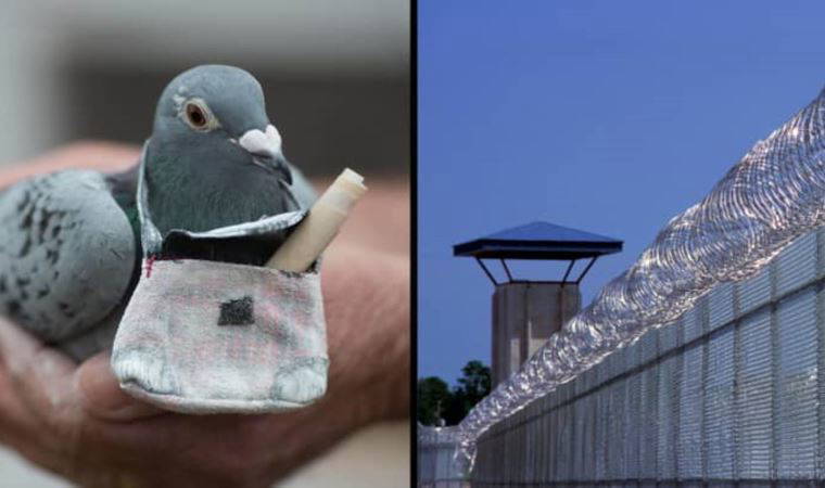 'Eski yöntemleri kullanıyorlar...'