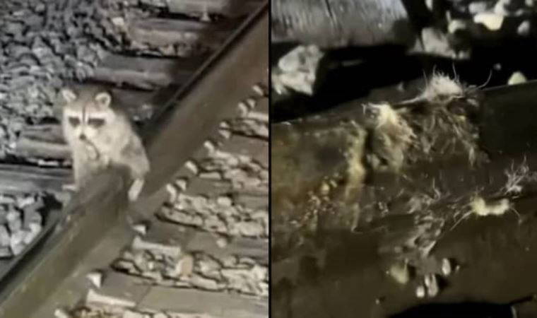 Ölümden döndü...