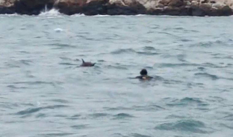 Bulgaristan açıklarında mayın paniği