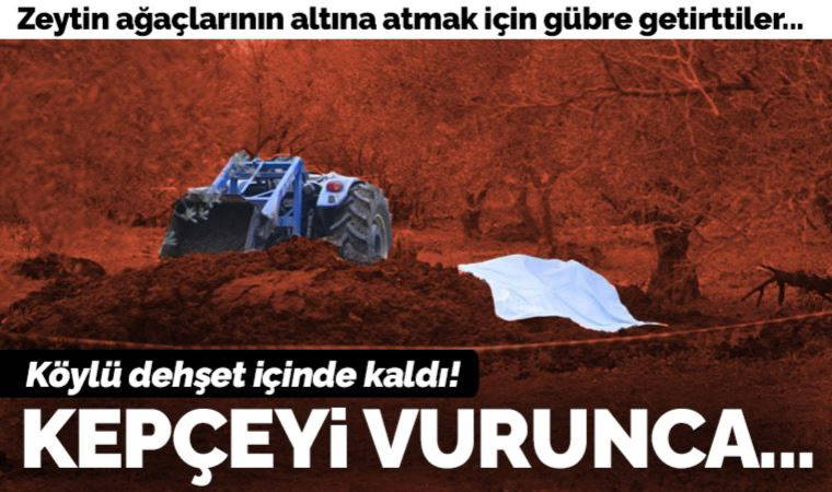 Bursa'da zeytinliğe getirilen gübrenin içinden ceset çıktı