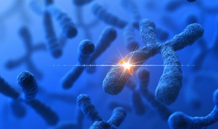 Bilim insanları, yaşlanmayı önleyen bir gen keşfettiklerini duyurdu