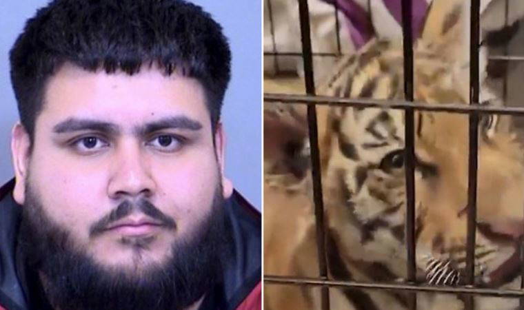 Eve girdiklerinde şaşırdılar...